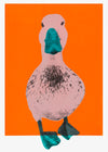 This is a unique hand pulled screen print. Edition of 50  Duck a l'orange features a cute duck on a vibrant orange background with a teal beak and feet.