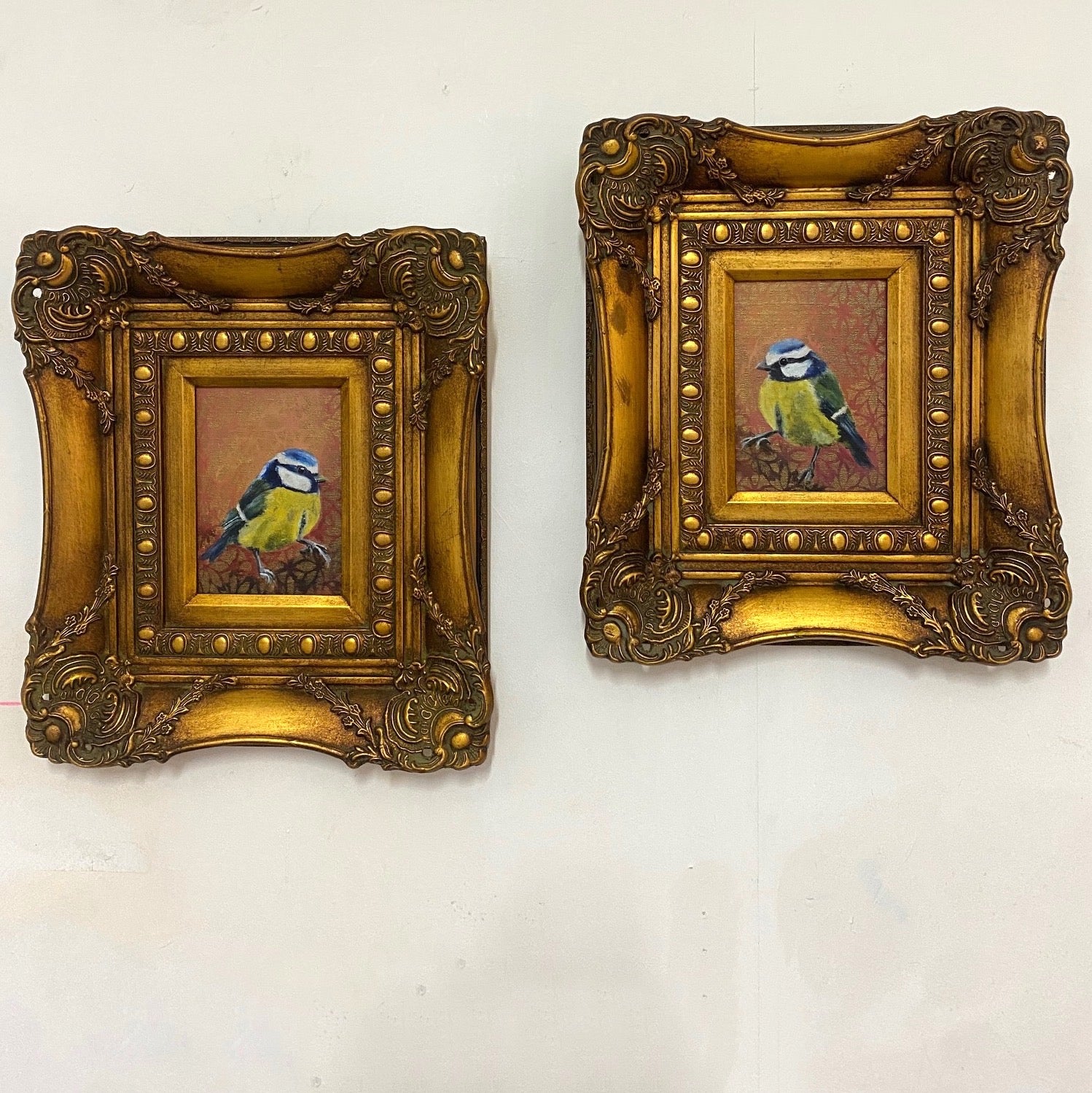 A pair of Tits, (A pair of Blue Tits) 2023