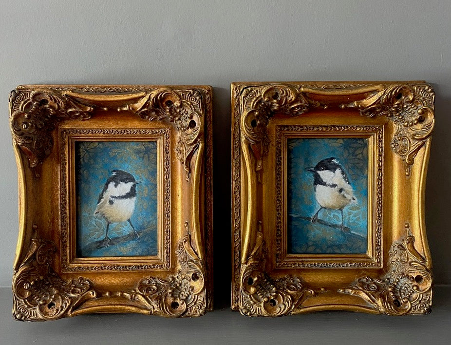 A pair of Coal Tits 2024