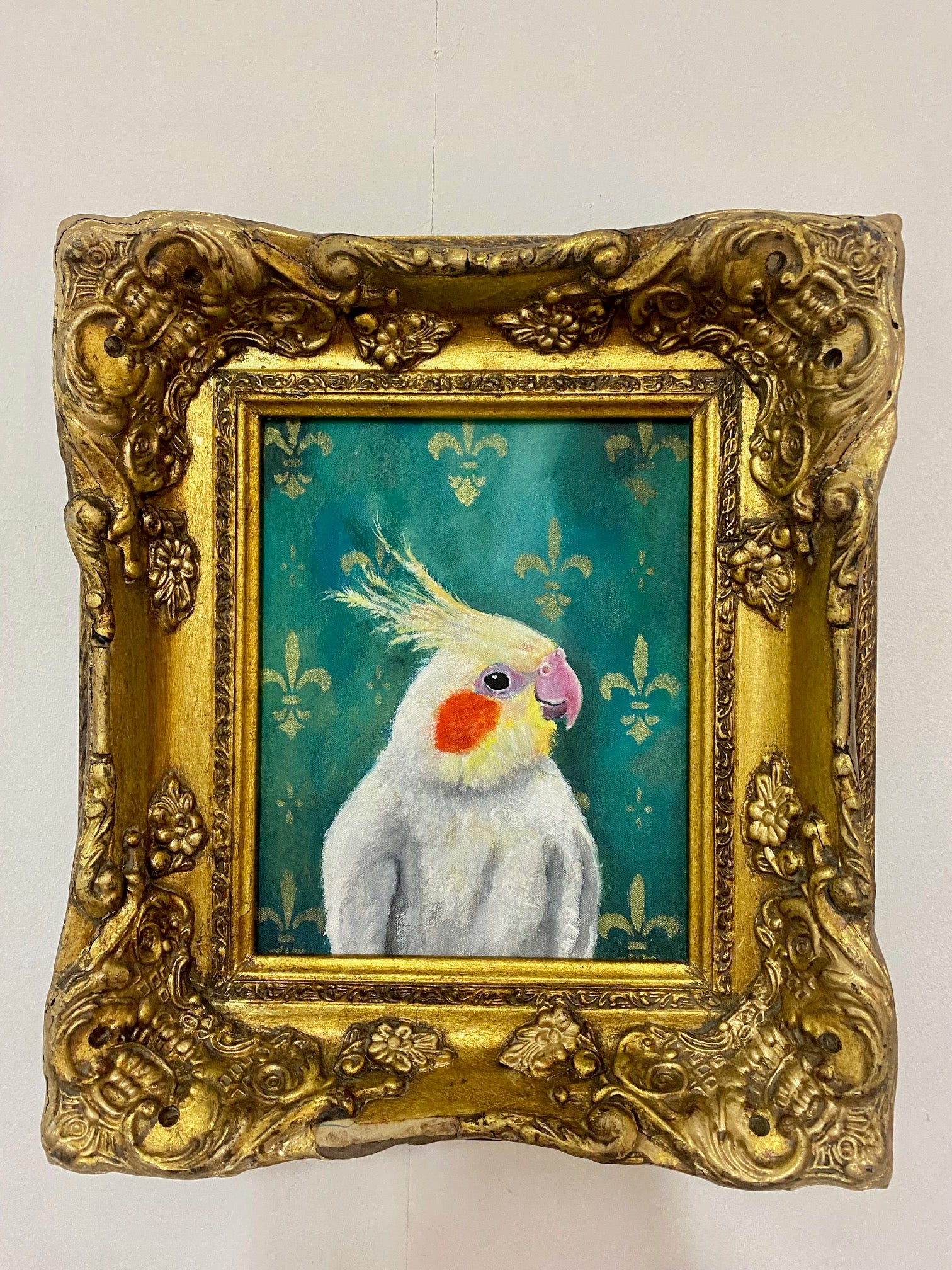 Ernie the Cockatiel , 2023