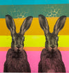 Hare Hare