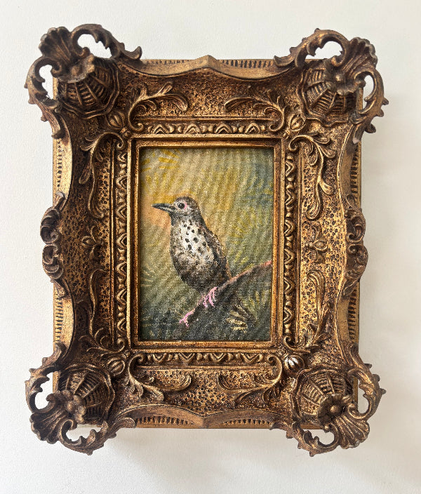 Morning Thrush , Thrush Bird Painting Vintage frame, 2026