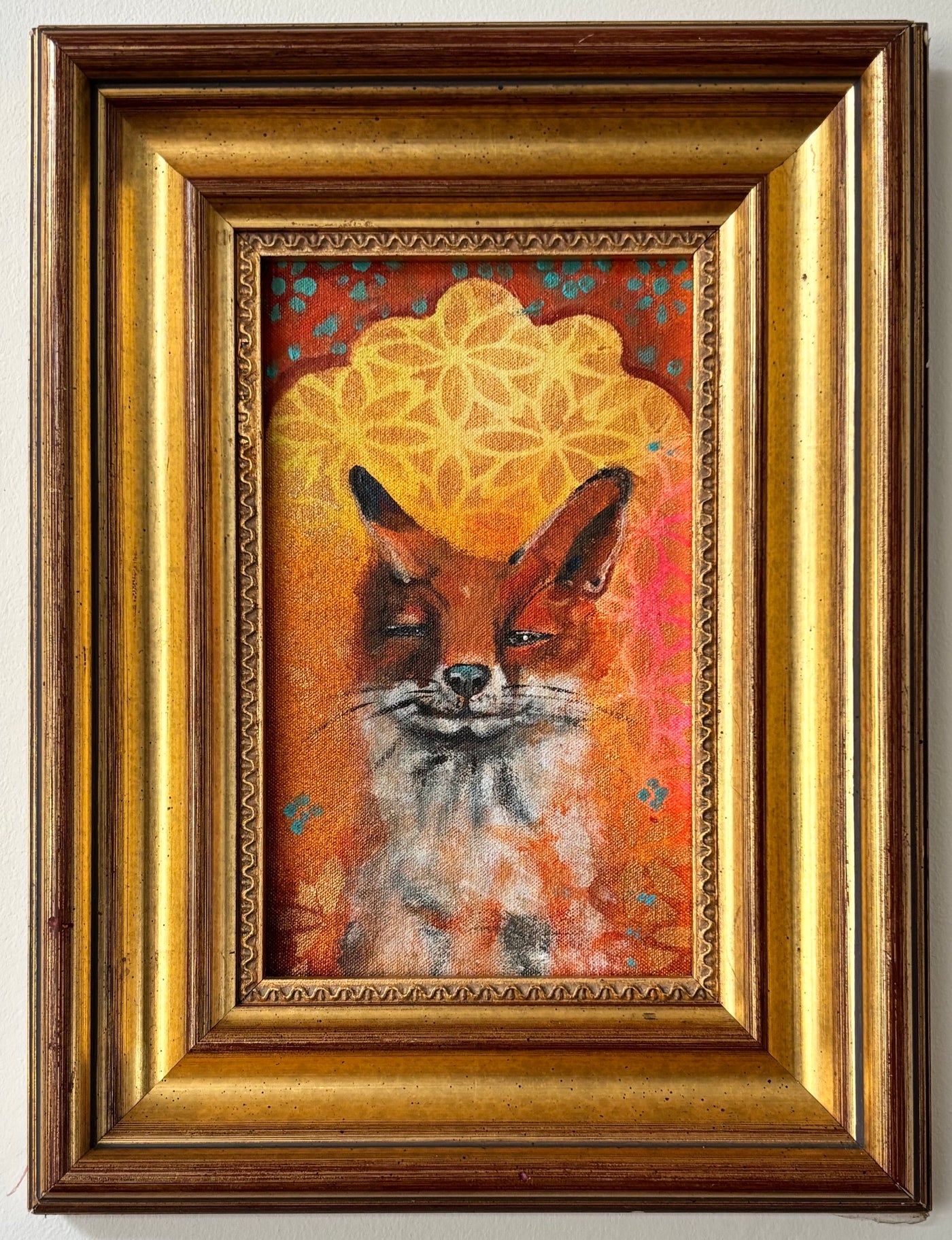 Sly Foxy goes to Jaipur