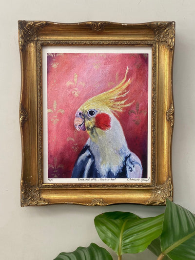 Tweedle Dee, Cockatiel, 8x10 inch portrait print