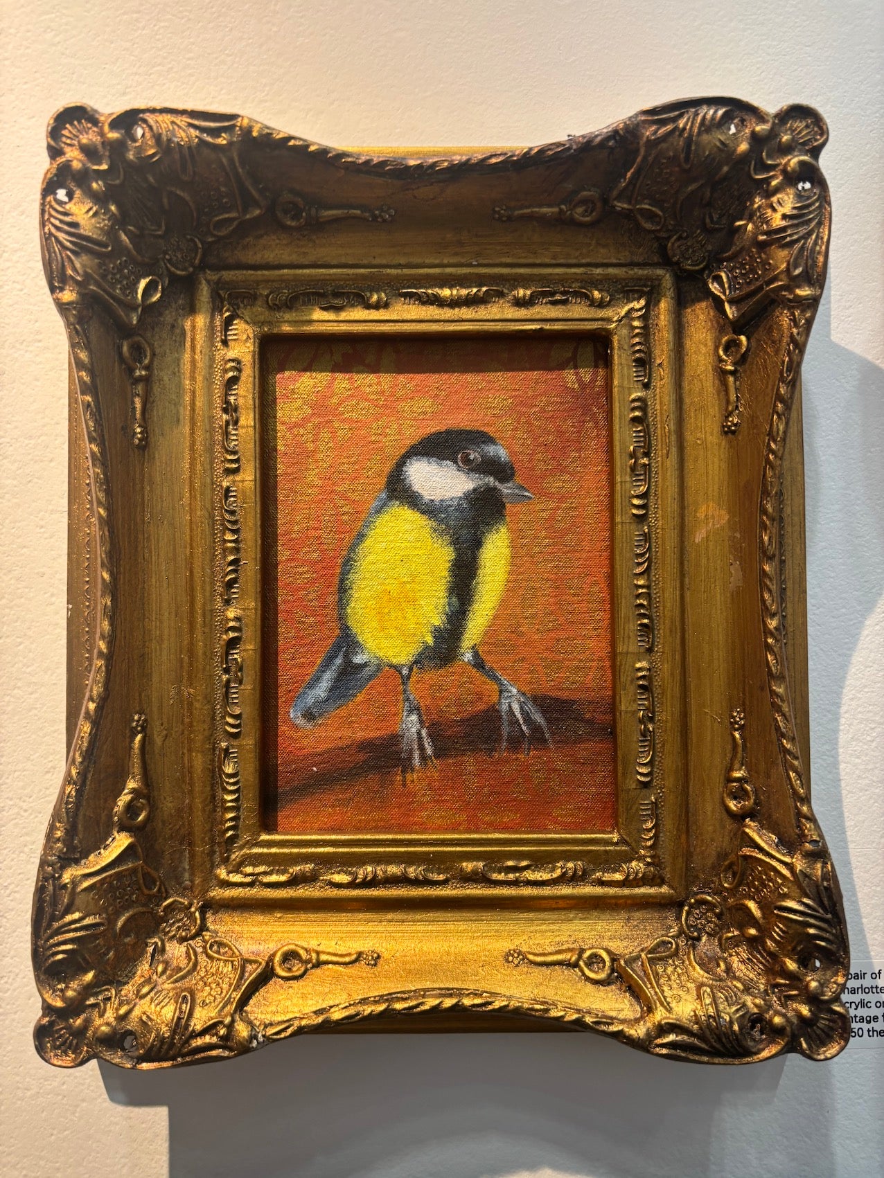 A Pair of Great Tits 2025