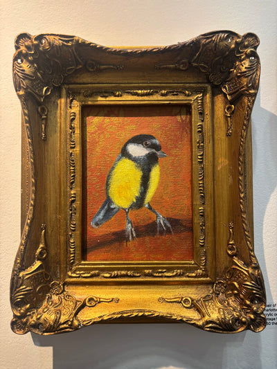 A Pair of Great Tits 2025