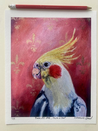 Tweedle Dee, Cockatiel, 8x10 inch portrait print