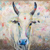 A limited edition giclee print of an white Indian cow with holy red tika on her forehead. There is an ornate 'imperial gold' block print through the background.