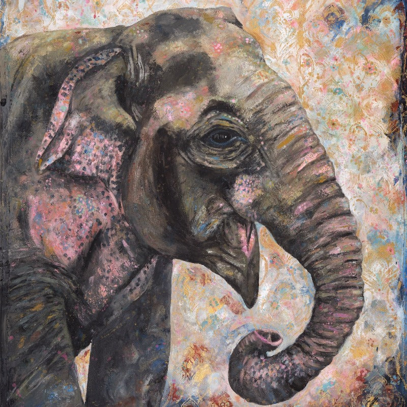 Hathi lives on elephant sanctuary in Kerala, India.  She lives her life as a free elephant and is very well cared for. 