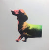 A hand pulled screen print called Half a Sausage. The print comes in two pieces has and ombre rainbow effect with a bold halftone overprint. 