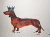 A hand pulled screen print called King Sausage. The piece depicts a red Dachshund wearing a blue crown. This naughty doggy has left his footprints all across the page. The footprints and the ear have been printed in a metallic bronze ink. This piece comes unframed and is 50cmx70cm.