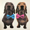 This is a unique hand pulled screen print of two dachshunds, one black and tan and one 'red' in bow ties looking extremely cute.