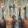 Top of the lake is also a  new release print and part of my collection of pieces I create for the Affordable Art fair in 2021. It depicts 5 runner ducks, 2 with tufty head feathers and was painted using a muted soft palette of blues and browns.