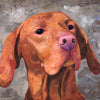A limited edition giclee print of a Hungarian Vizsla on a neutral background. This beautiful dog has a very majestic look.