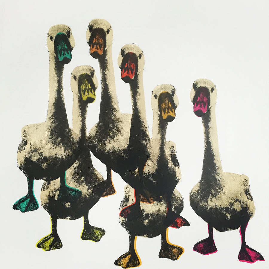 This is a unique hand pulled screen print. A larger piece showing a cluster of 6 Indian runner ducks with different (beautifully) coloured beaks standing facing the viewer
