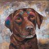 A limited edition giclee print of a chocolate labrador on a gold and bronze background with hints of other colours thrown in.
