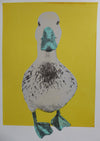 This is a unique one-off hand pulled screen print. A pale taupe duck with a lovely peppermint green beak sitting on a mustard background.