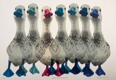 A hand pulled screen print called Girl in the boys dorm. The piece depicts six grey ducks of varying shades of blue beak and feet facing to the left with a contrasting cream duck with a hot pink beak and feet facing right.