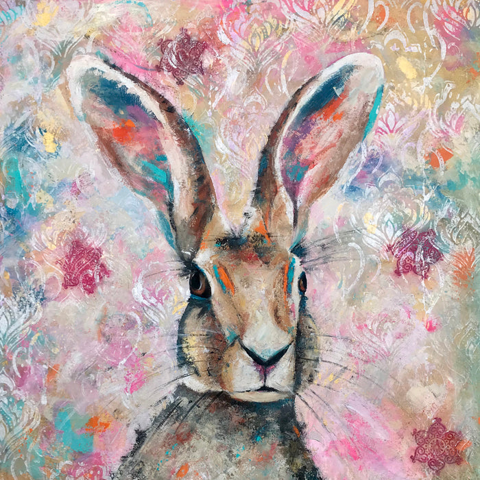 An Indian hare from the plains of the Keralan national park.