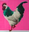 This is a unique one-off hand pulled screen print.  Hot Cockerel was found strutting around Belmont Children's farm looking after his hens He then got the artist's makeover with a hot pink background.