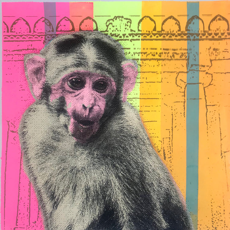 'Monkey Temple' is a unique hand pulled screen print.   This cheeky monkey was photographed in the holy town of Hampi in Karnataka, India.   It combines my love of Indian imagery with my 'pop art' style to create a multi layered and vibrant screenprint. 