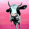A photographic print of a friesan cow on a layered pink background.  Mounted on snow white textured mount board. Actual image 6x6inches.
