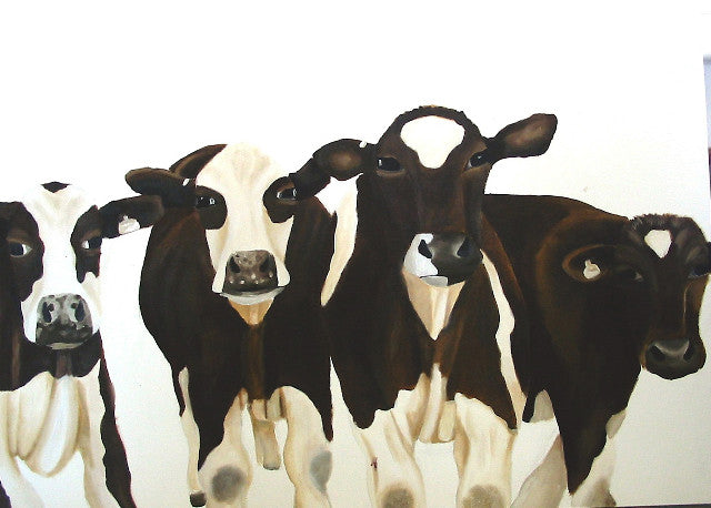 A photographic print of a 4 brown cows in a studio setting.  Mounted on snow white textured mount board. Actual image 6x8inches.