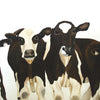 A photographic print of a 4 brown cows in a studio setting.  Mounted on snow white textured mount board. Actual image 6x8inches.