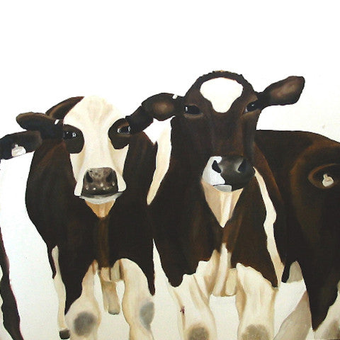 A photographic print of a 4 brown cows in a studio setting.  Mounted on snow white textured mount board. Actual image 6x8inches.