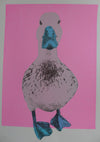This is a unique one-off hand pulled screen print.  Pretty duck is a soft white/grey and has cerulean blue beak and feet and is sitting on a hot pink background.  This piece is 35x50cm unmounted or 42x56cm mounted or framed.