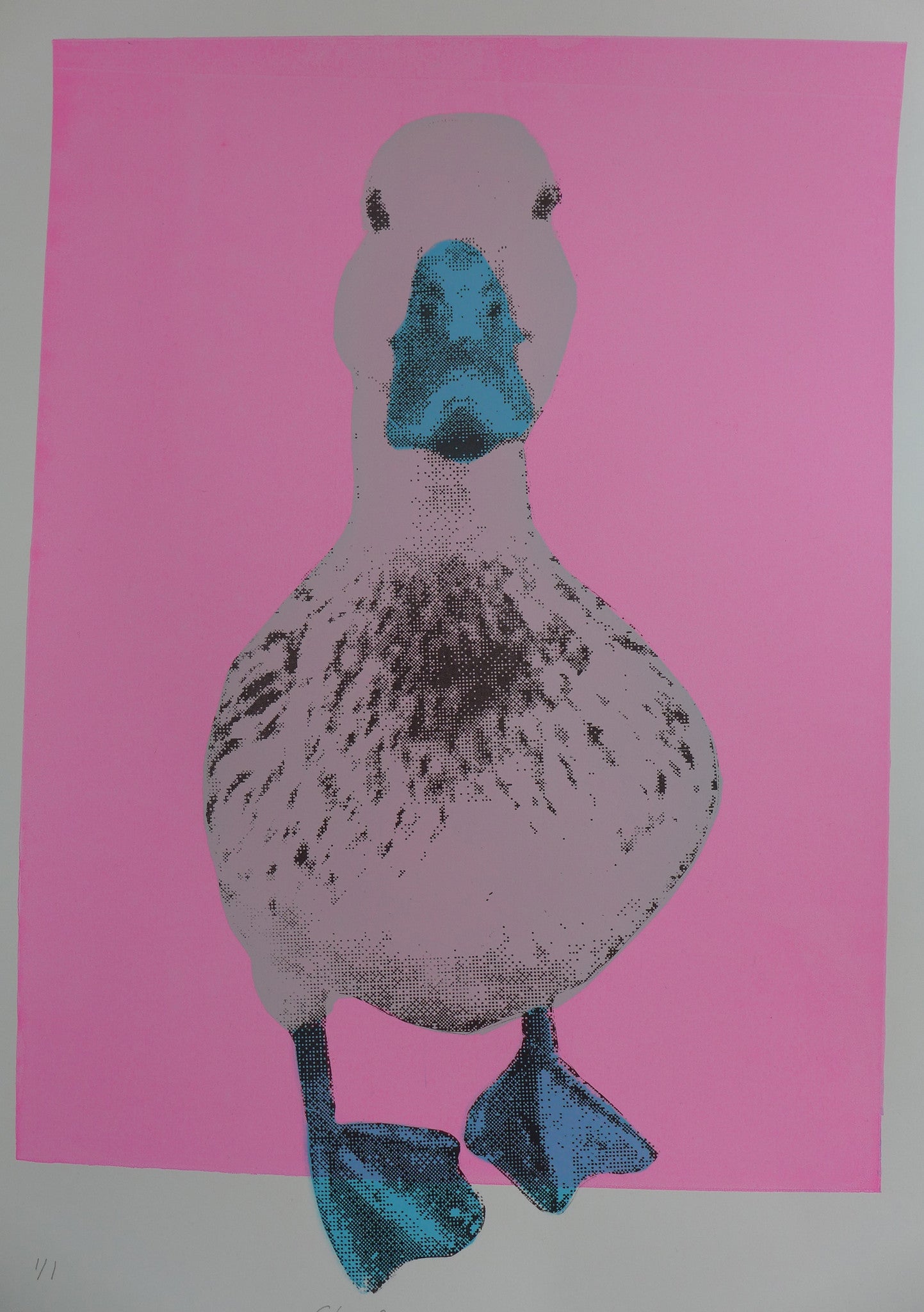 This is a unique one-off hand pulled screen print.  Pretty duck is a soft white/grey and has cerulean blue beak and feet and is sitting on a hot pink background.  This piece is 35x50cm unmounted or 42x56cm mounted or framed.