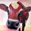 A photographic print of a red cow staring quizzically straight at the viewer.