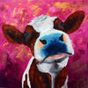 A limited edition giclee print of a young brown and white cow on a hot pink and gold background on archival fine art paper.