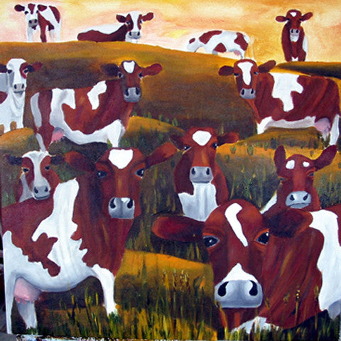 A photographic print of a herd of brown cows at sunset. They are all looking directly ahead to see who is coming their way.  Mounted on snow white textured mount board. Actual image 6x6inches.